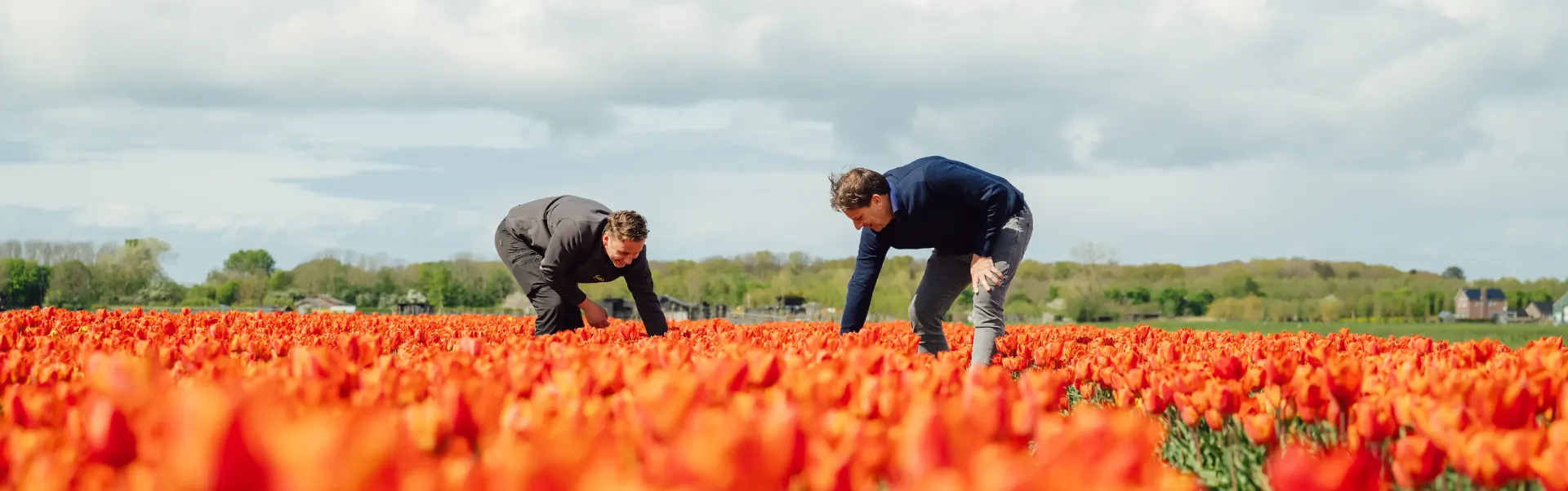 Fields Source of Flowers